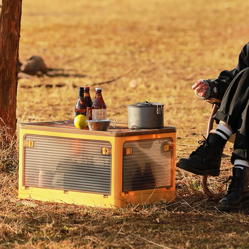 Rmier Modern Multifunctional Transparent Plastic Storage Box Foldable Colorful Outdoor Household Toy/Book Organization Kitchen