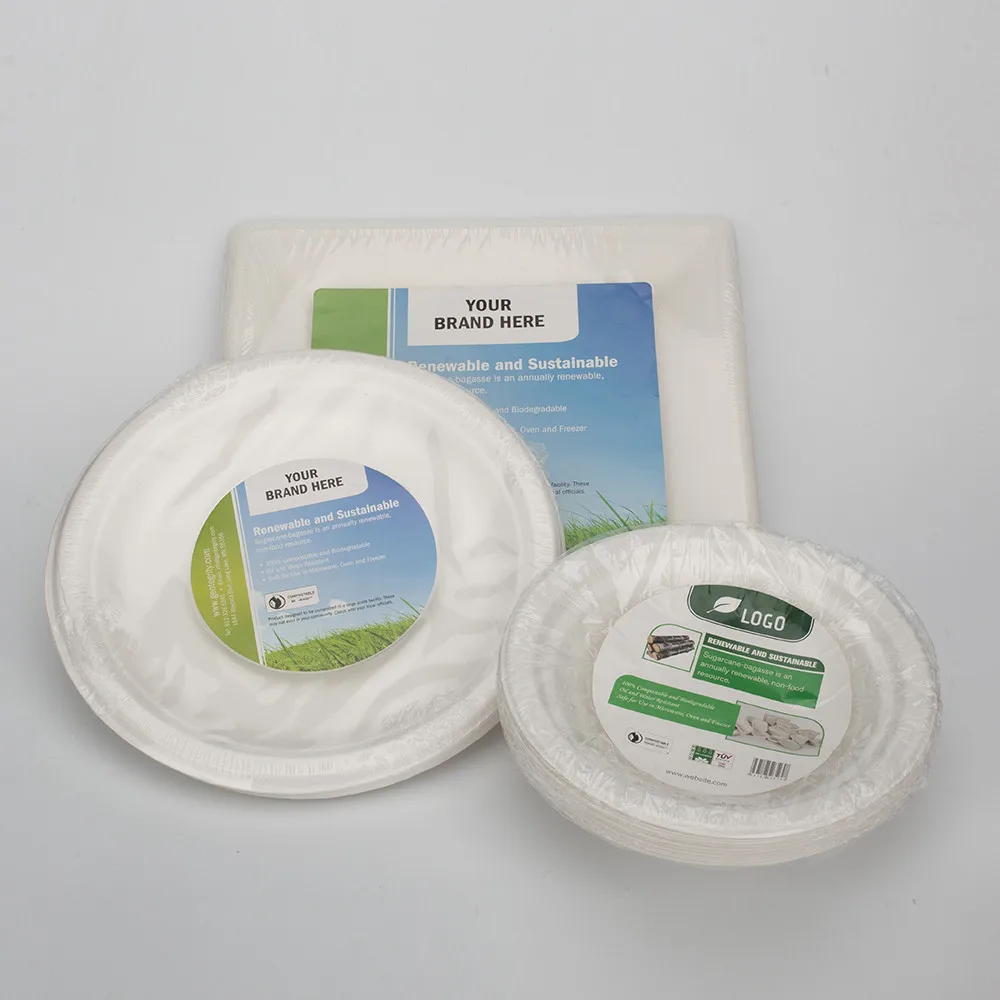 wholesale biodegradable sugarcane tableware bbq party plates disposable bagasse 9 inch compostable bagasse paper plates