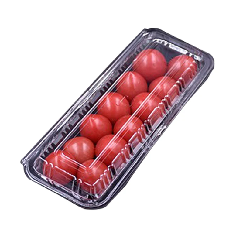 customized disposable transparent plastic box sushi container packaging takeaway sushi tray
