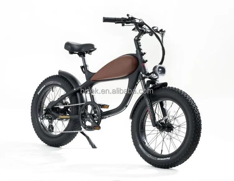 Green power vintage ebike electric bike electric city road woman ride 20inch fat tire from china