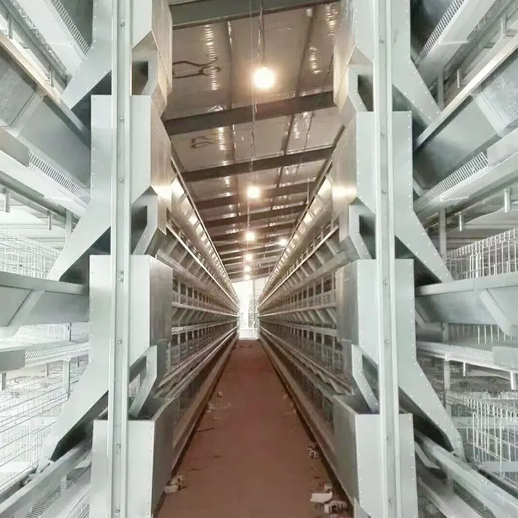 Wholesale Simple Structure Poultry Farm Chicken Coop 10000 Layer Bird Cage for Sale