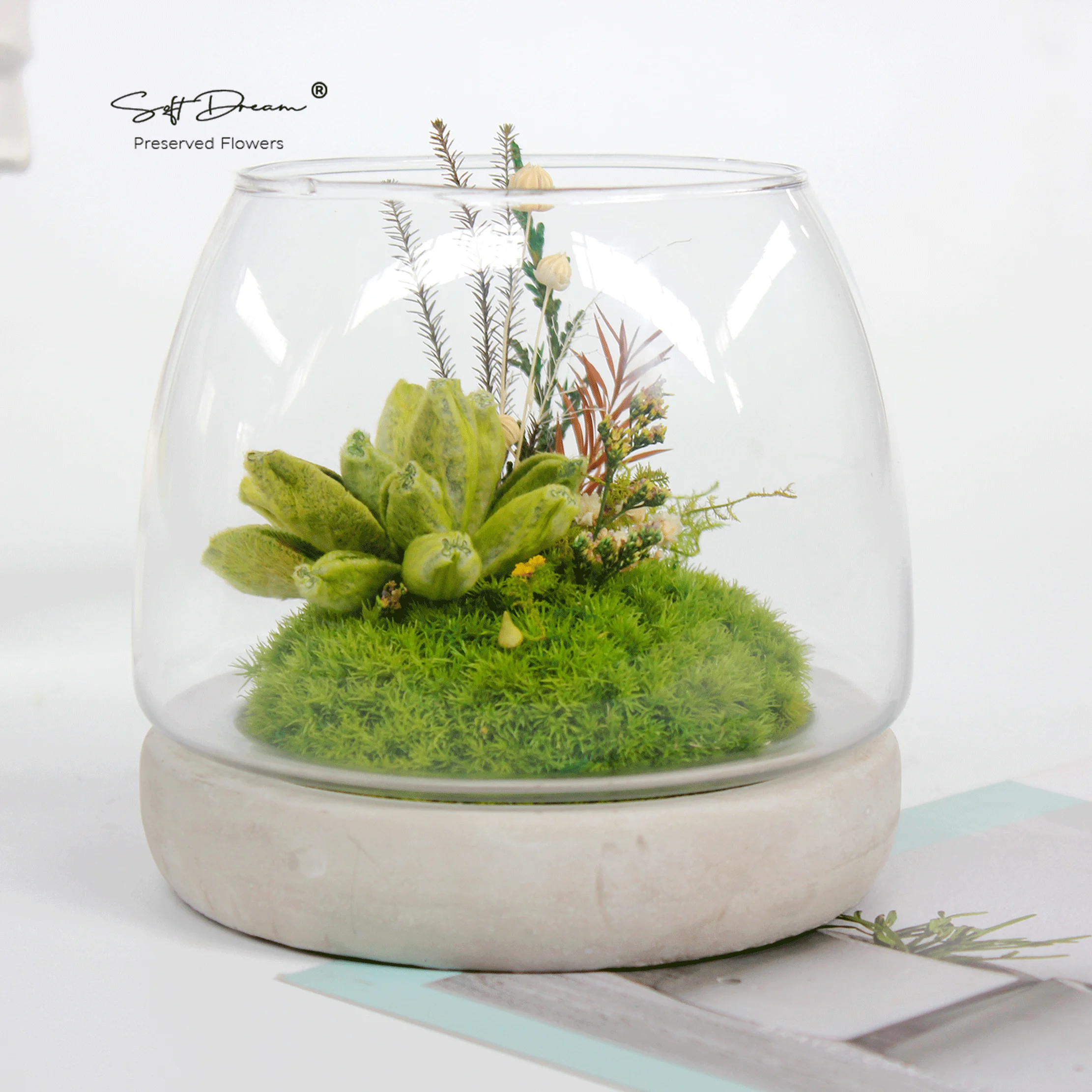 Eternal Beauty: Preserved Moss, Cotton Wool Sage Leaves, and Everlasting Floral Decor for Home and Gift