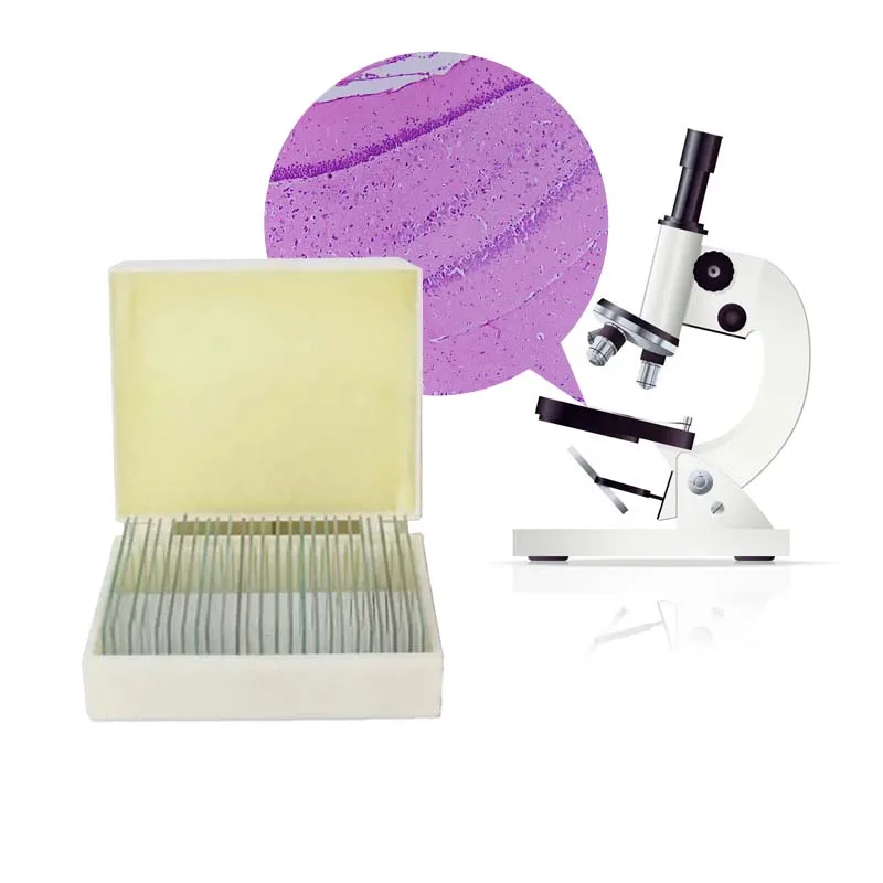 Teaching and learning botany prepared microscope slides