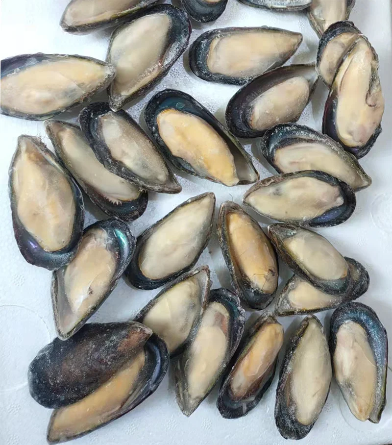 Frozen Half Shell Mussel