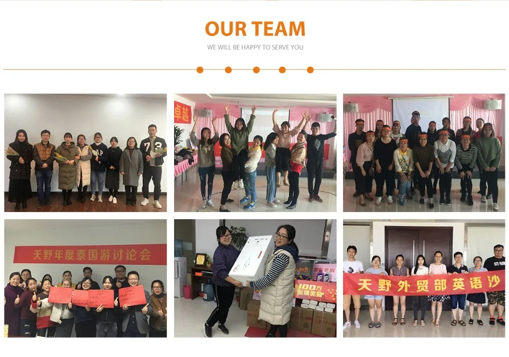 Tianye outdoor camping titanium stainless steel iron tent peg plastic tent nail