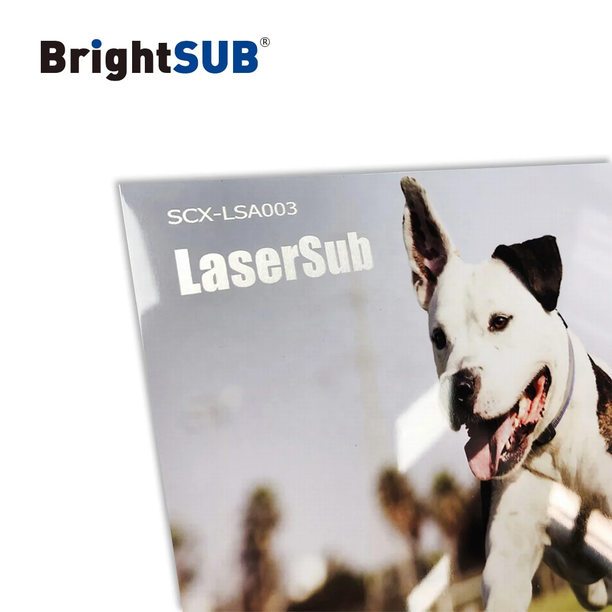 LaserSub Aluminum sheet gloss white sublimation metal blank laserable metal glossy coated sheets heat transfer picture printing