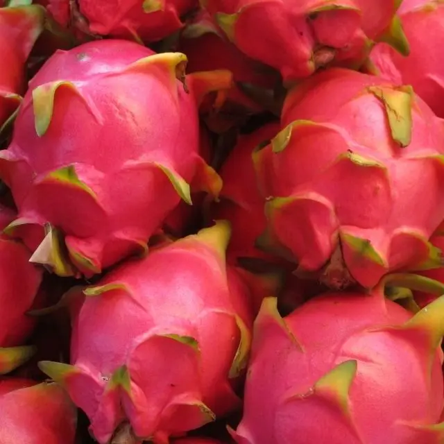  Свежий и полезный питхая или Клубничная груша из Вьетнама-фрукты сладкого красного дракона