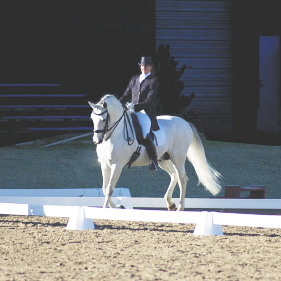 Fentech top quality small portable plastic dressage arena