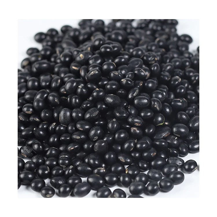Hot sale  China Manufacturer Direct Black Beans Wholesale Price