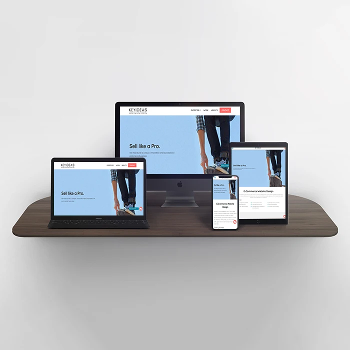 Top leading eCommerce Web and mobile app Company in India - ProtoLabz eServices