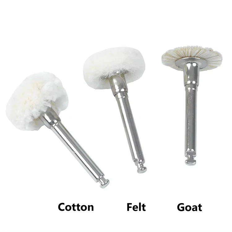 Electric Dental Polishing kits with Alumina/Silicon Carbide Material Prophy Brush for Contra Angle Handpiece