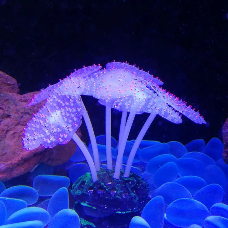 Hot sale fish tank decoration environmentally silicone fluorescent coral aquarium transparent anemone