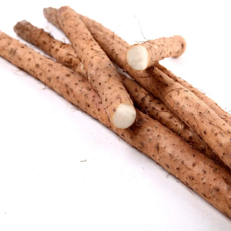 High Quality Fresh Chinese Yam for sales