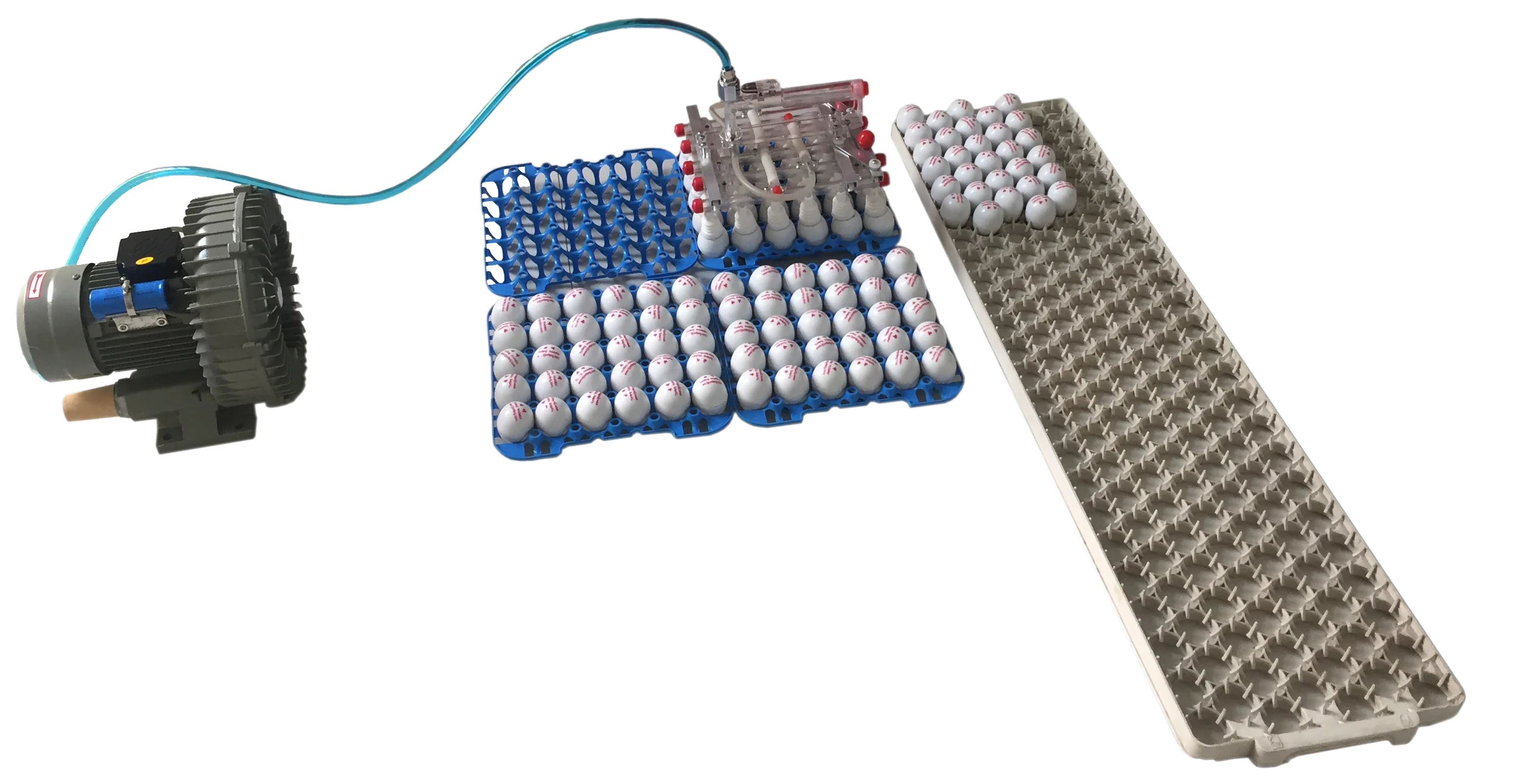 Great Sale V15A Fixed Type Egg Moving Machine Vacuum Poultry Egg Lifter Good Reputation Brand by Yunfeng Manufactured in China