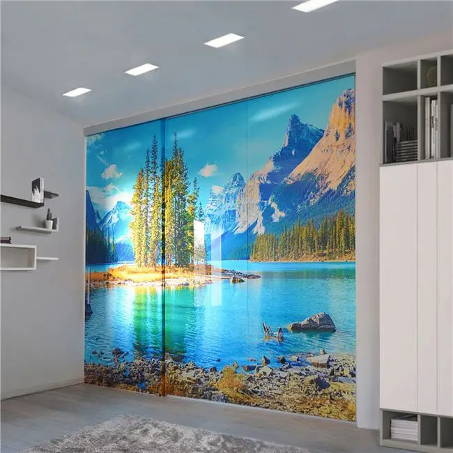 Chinese Digital Printing Glass For Door