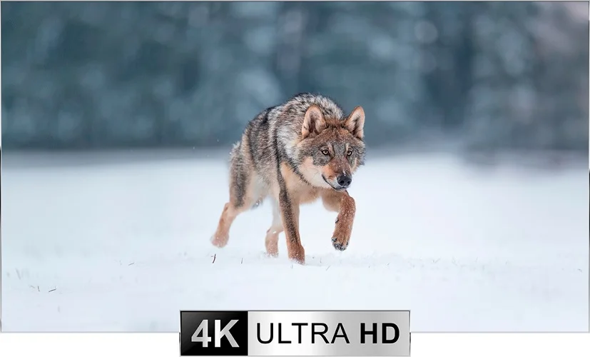 Pulsar Thermion Duo DXP50 Night Vision Scope Thermal Imaging Telescopic Camera For Hunting 640 2X - 16X 0