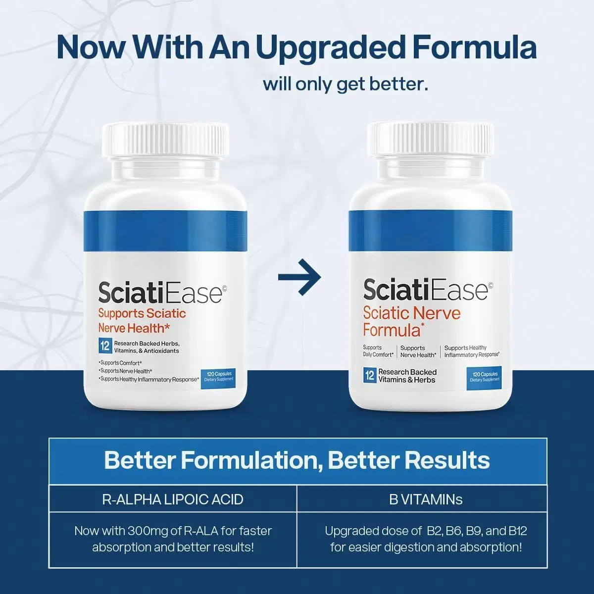 Potent Sciatic Nerve Care Capsules - Relieves sciatica with Vitamin B Complex, Alpha Lipoic Acid and Alpha Palm Pea.