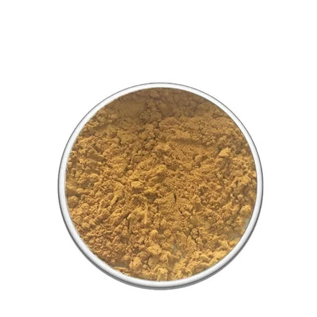 Factory Price 100% Hops Flower Extract Solvent Extraction Fruit Powder in Drum Packaging