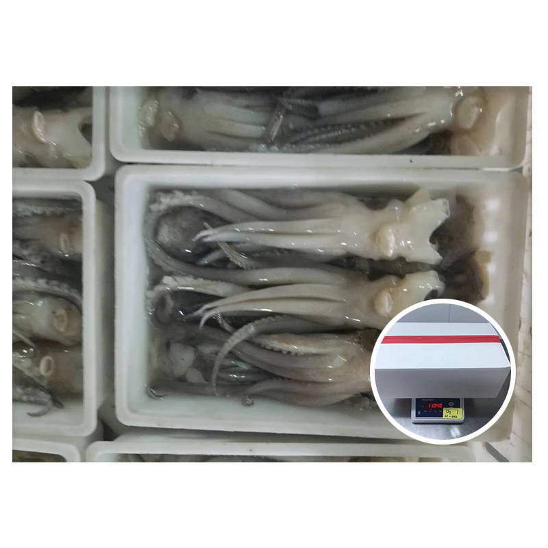 Good Quality Frozen Squid Head Squid Tentacle Squid Tentacle Head New Catching