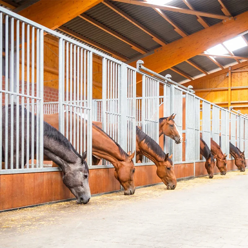 China Supplier Custom Horse Stable Portable Metal Frame Horse Box Galvanized&Bamboo Horse Stable