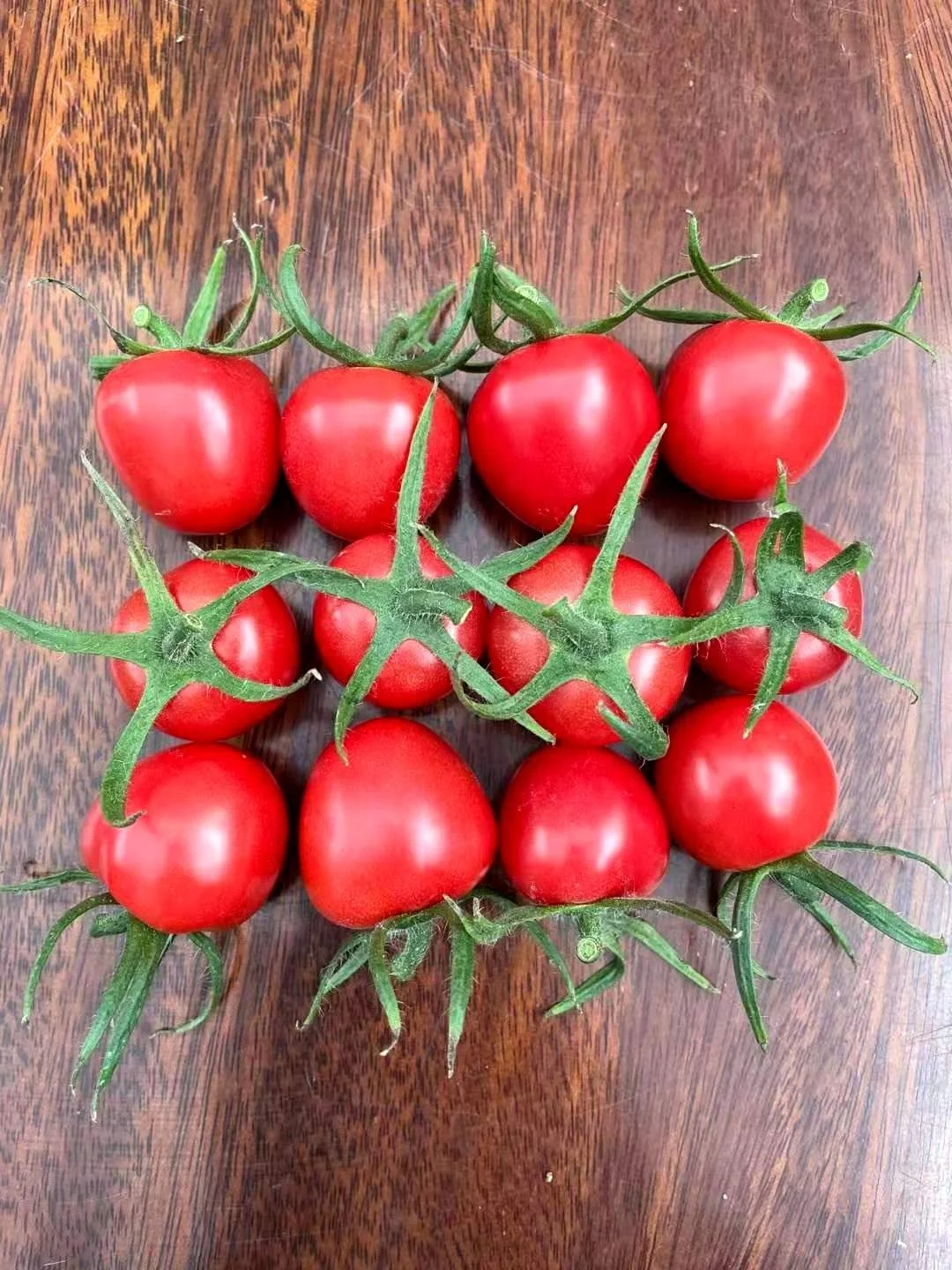 
Indeterminate Cherry Hybrid F1 Red Fruit Color Cherry Tomato Seeds from China 