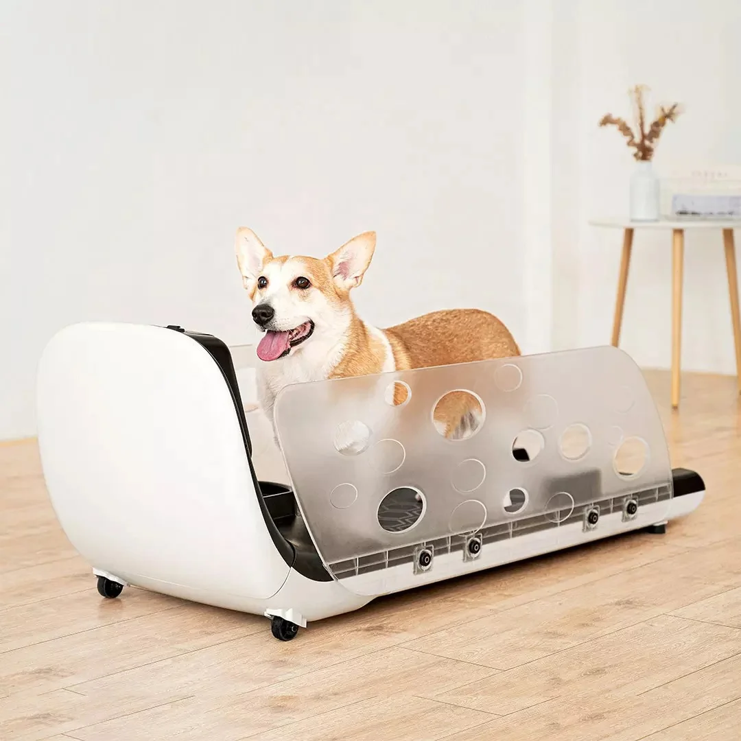Pet training products dog home treadmill walking machine white small pet cat dog treadmill as pet training behavior products