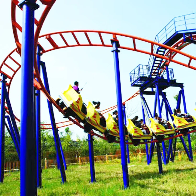 High Quality Cheap Thrilling Amusement Park Rides Large Roller Coaster For Sale