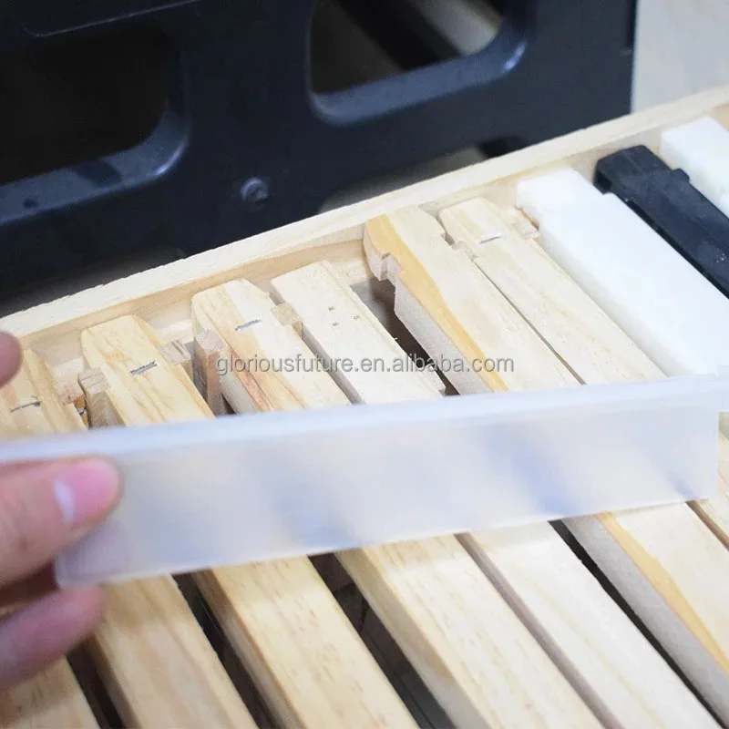 Beekeeping beehive beetle trap White Insect Trap