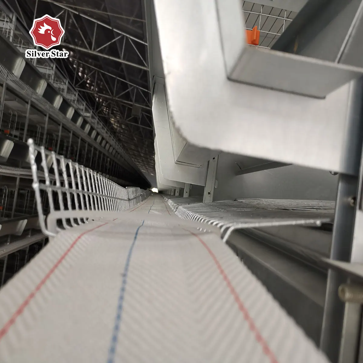 Automatic Stroller Seeding Machine For Farm Poultry Chicken Cage