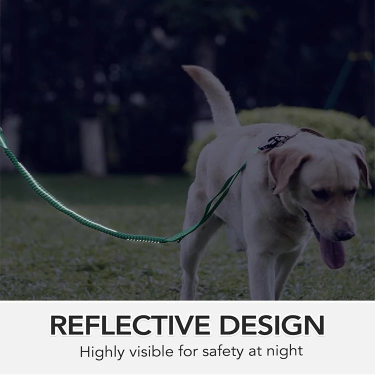 QQgift custom luxury Tactical Dog Collar and Leash Set with Quick Release Buckle Adjustable Training Dog Collar with Handle