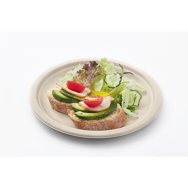 Hot Cheap Take Away Custom Disposable Plates Printed Sugarcane Disposable Plate