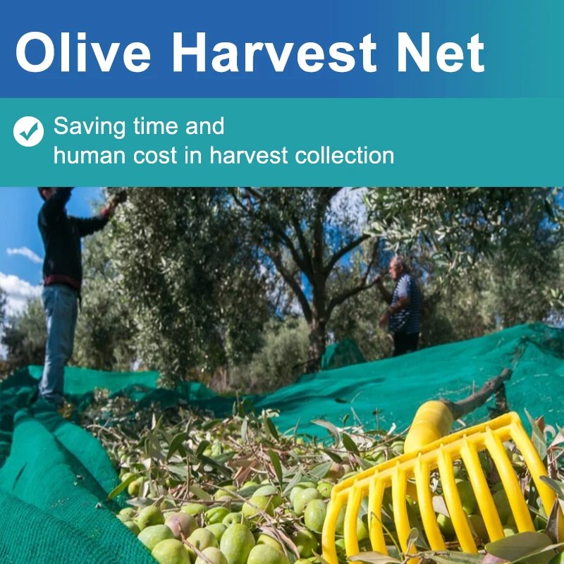 20 years Manufacturer netting olive harvest nets agriculture  green wash net harvesting net agricultural olive tree protection