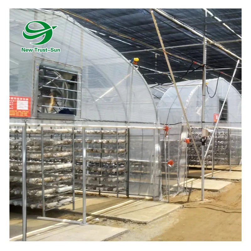 
wholesale Single-Span plastic shed shading system tunnel mushroom greenhouses 