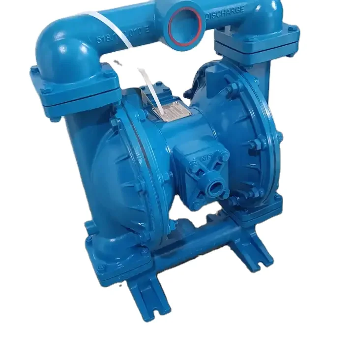 S15B1INWABS000 Sprayer Sampling Vacuum Prominent Metering Diaphragm Pump for Water Distribution