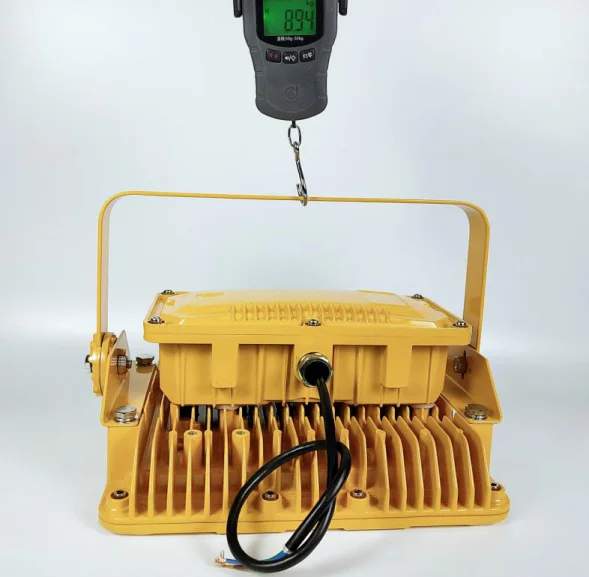 Factory Price High Power 80-200W Outdoor Explosion Proof LED Flood Light