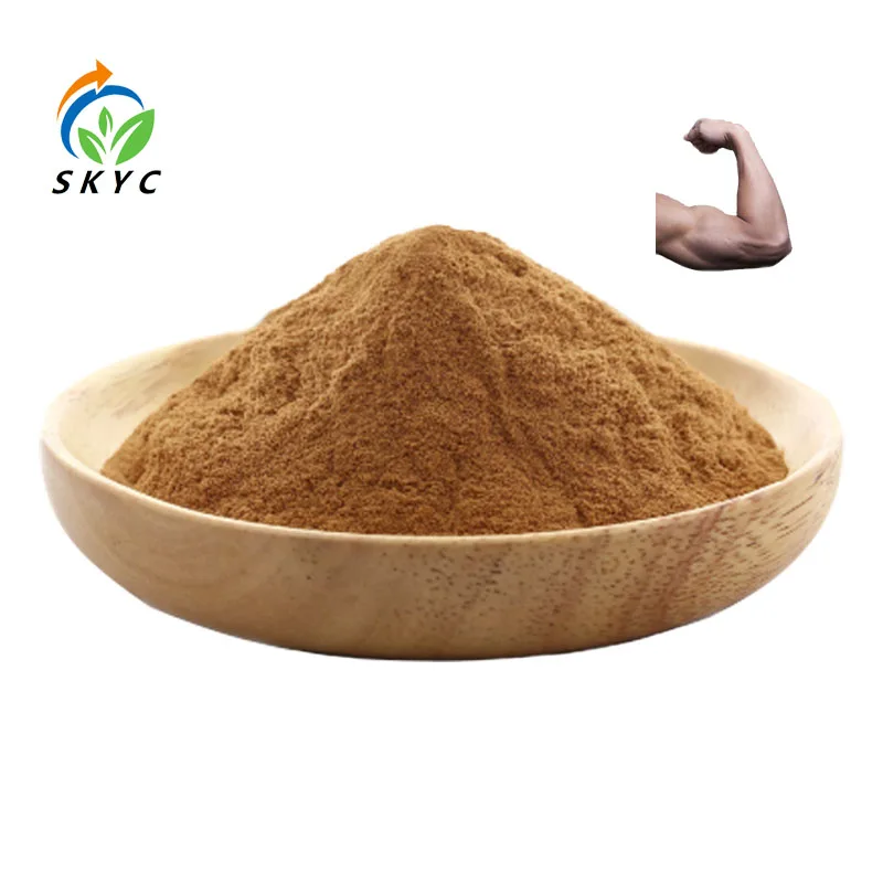 Herbal Extract Powder  Epimedium Extract Powder