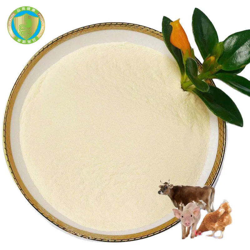 Оптовая продажа Высококачественные Пищевые Добавки lactobacillus