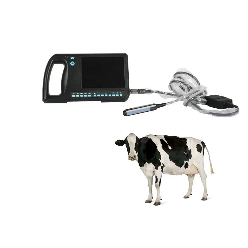 Pocket Vet Usg Diagnostic Scanner Machine Price Handheld Portable Animal Wireless Veterinary Ultrasound for Pregnancy