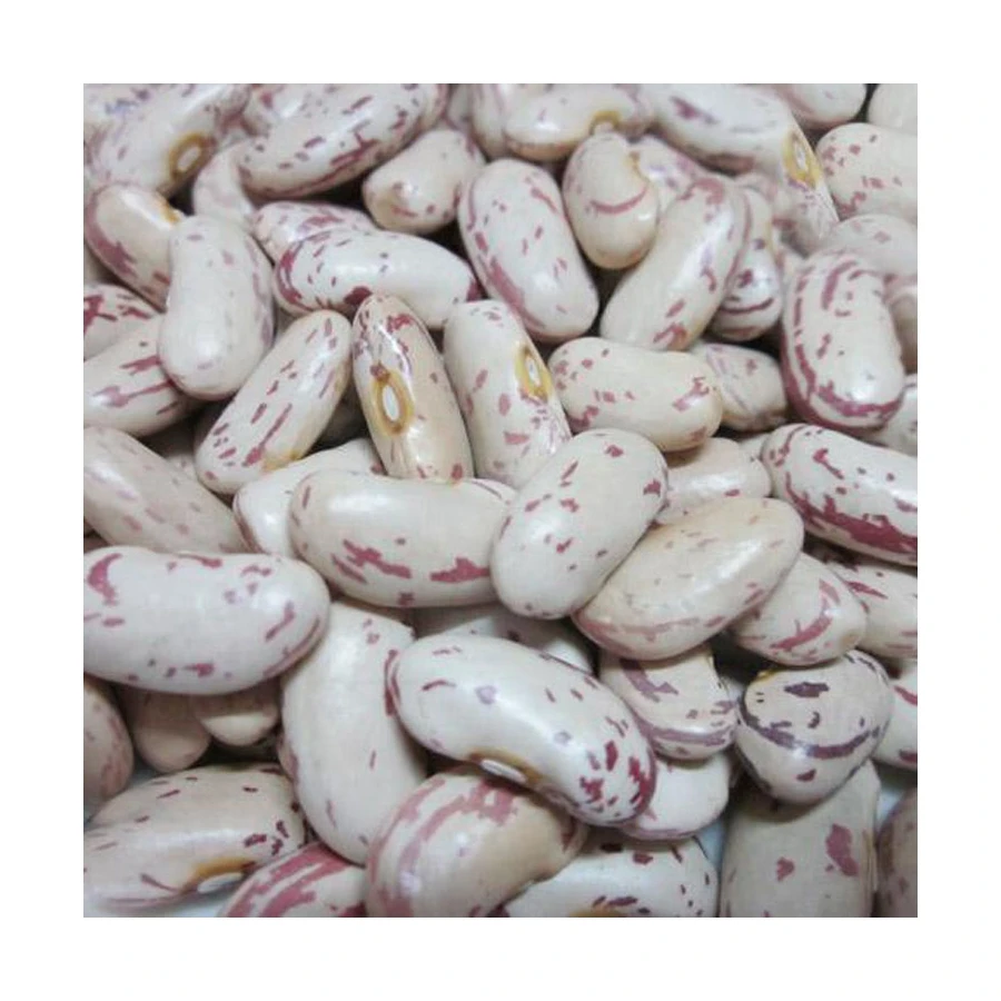 Wholesale Non-gmo Quality Attractive Price Beansdney Speckled Kidney Beans