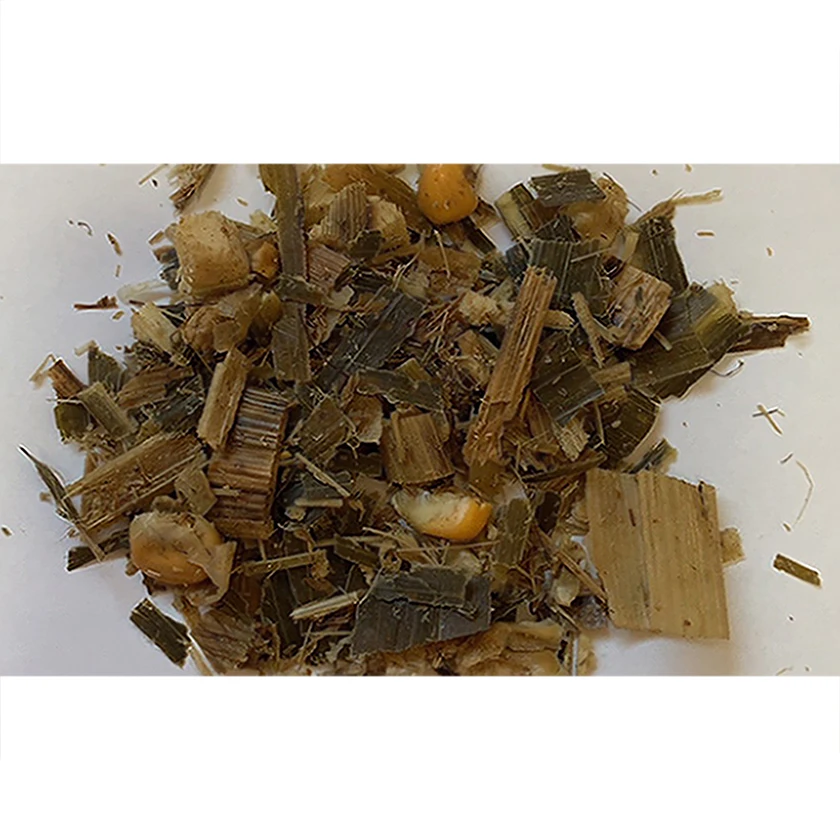Vietnam fermented animal feed corn for digestion with lactic acid bacteria
