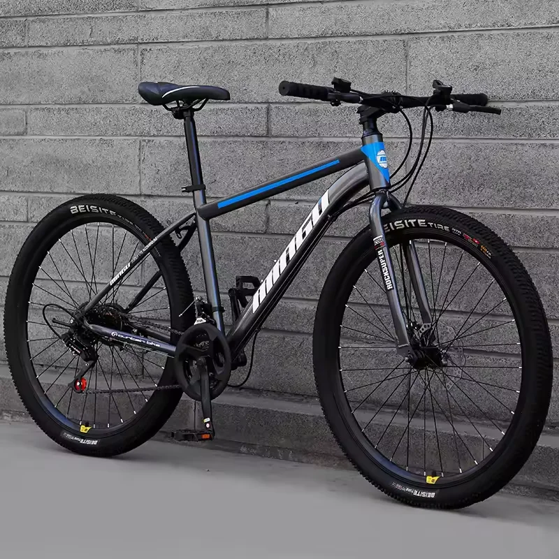 21 24 Speed Mountain Road Bike 24/26/27.5/29 Inch Disc Brake Speed Mountain Bike Bicycle Full Suspension BMX Road City Bike