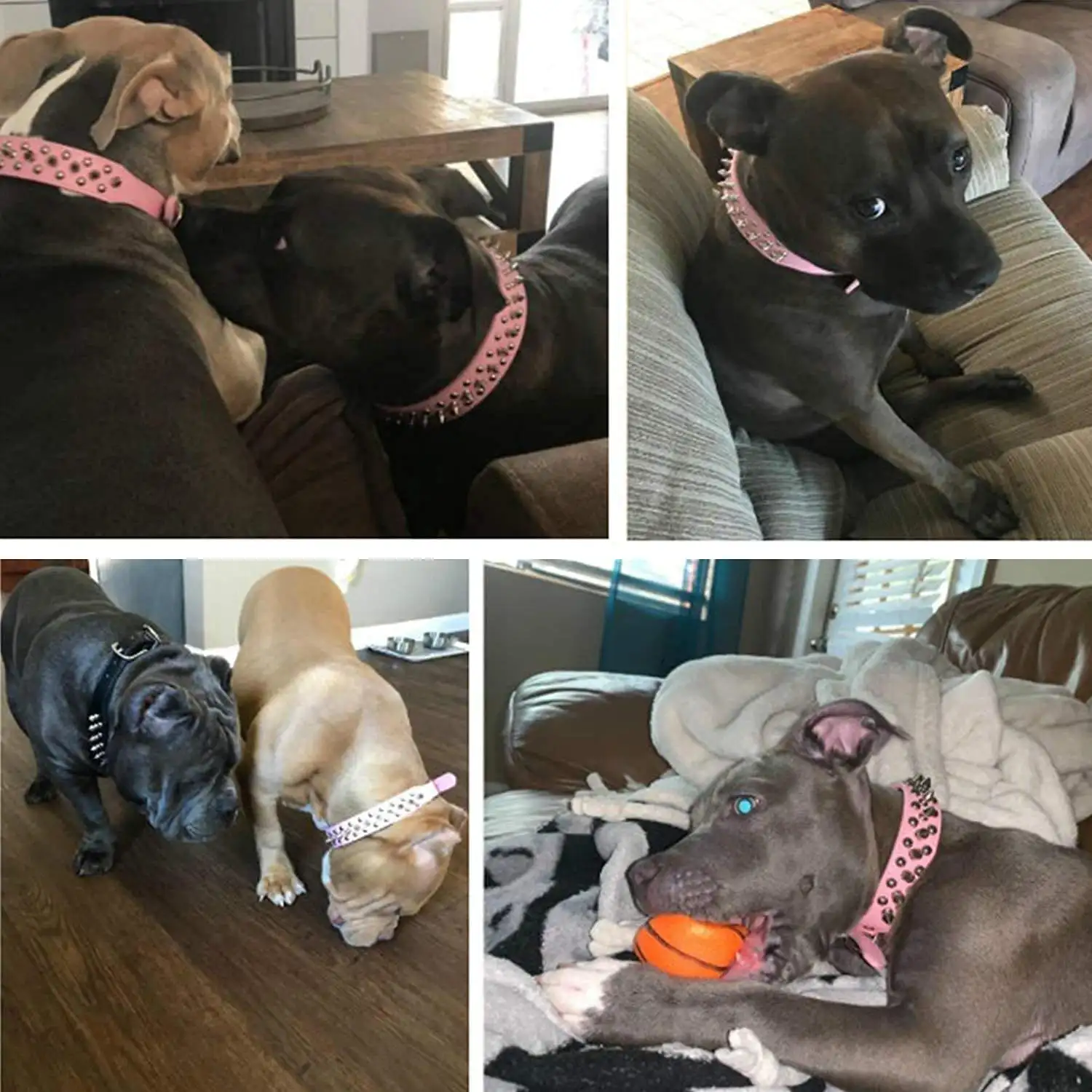 Durable Adjustable Luxury Leather Punk Rivet Spiked Studded Dog Collars For Dog Pet Collar