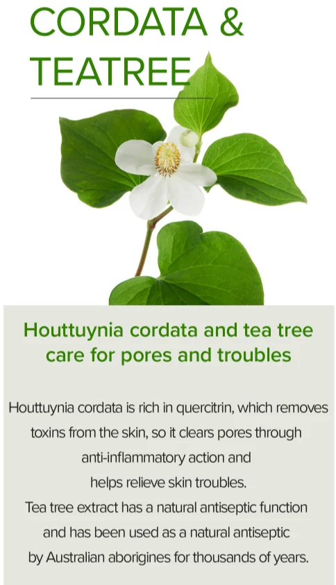 ETRUN ALISA Private Label CICA calming Acne remove Houttuynia Cordata Tea Tree Serum for Oily and troubled skin