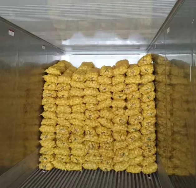 Factory Price Top Quality Potato Wholesale Good food Grade fresh potato Hot Sale New Crop Potato Price