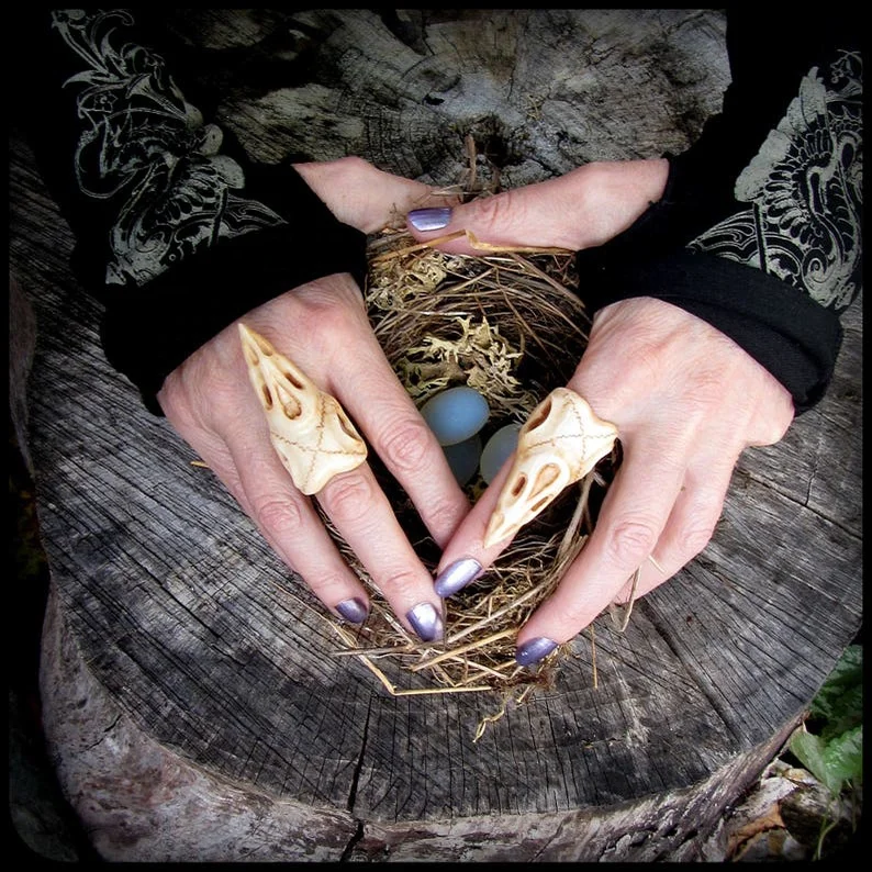Custom Gothic witchcraft jewelry gothic raven crow skull taxidermy jewelry oddity ring