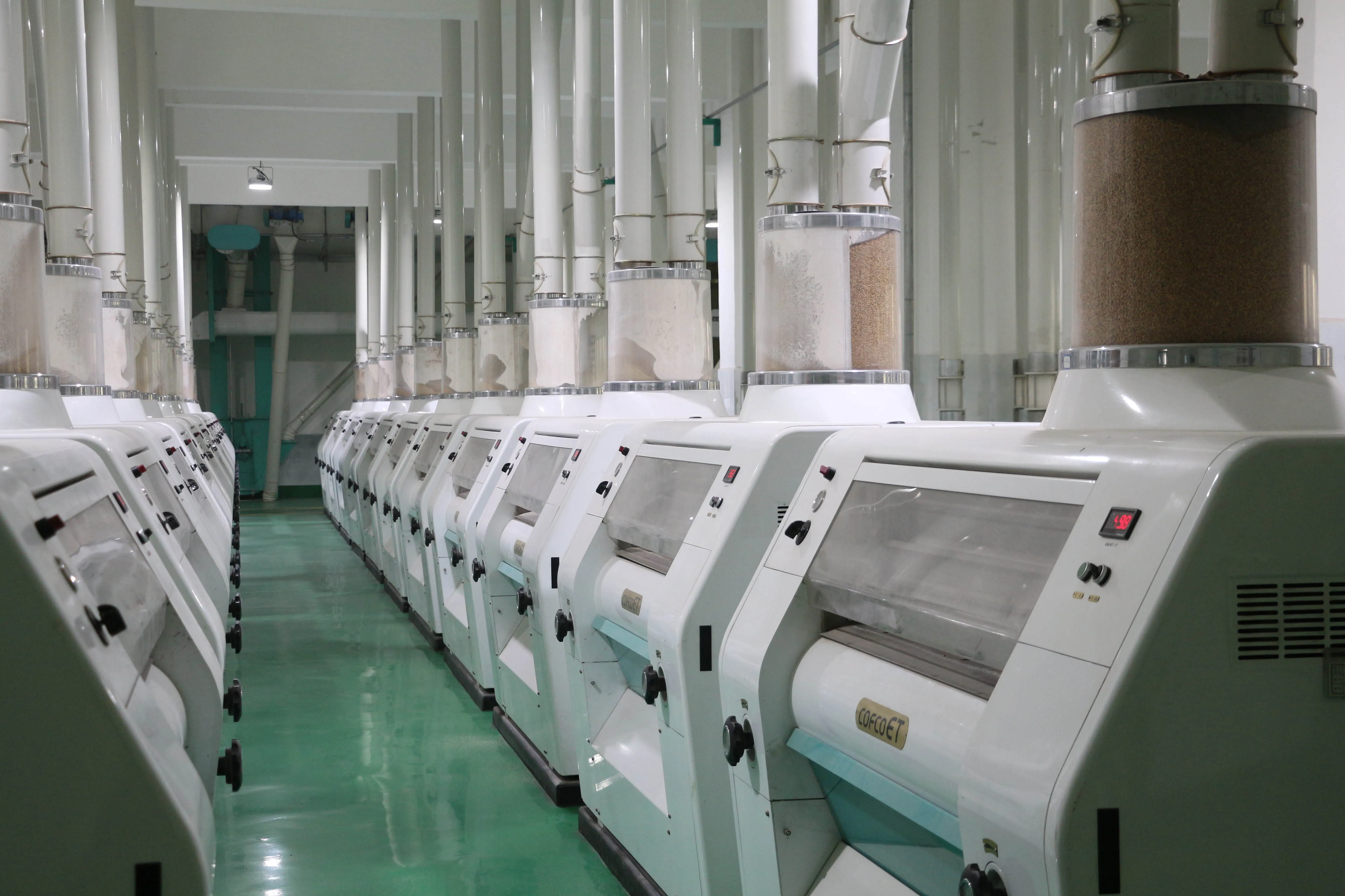 Пищевые добавки Органическая пшеничная глютеновая мука по низкой цене