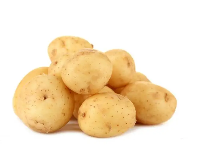 China wholesale fresh potato hot sale new crop potato price