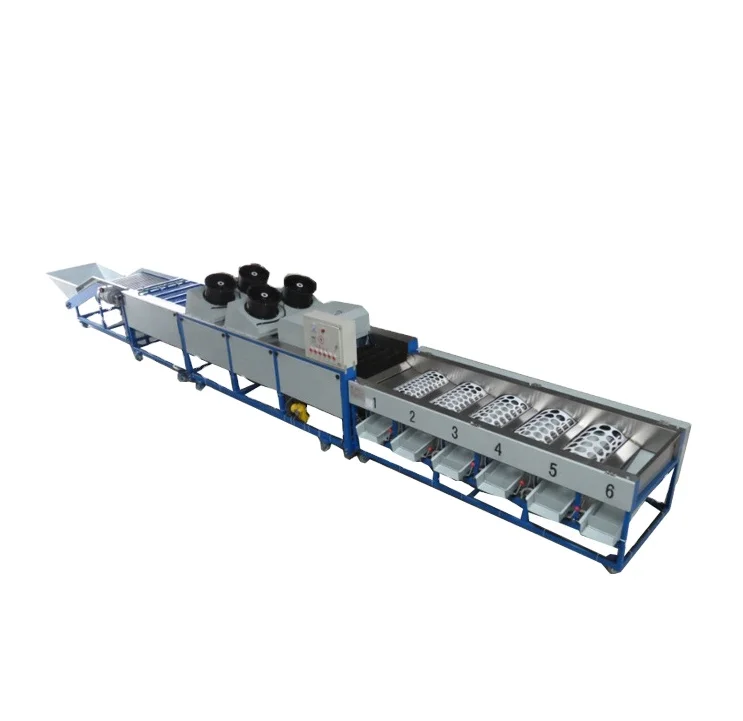 Fruits Washing Grading Machine CE