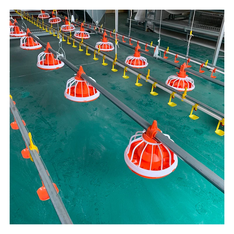 Chicken Feeding Line Chicken Pan Flat Feeding Equipment  Chicken Feeding Line