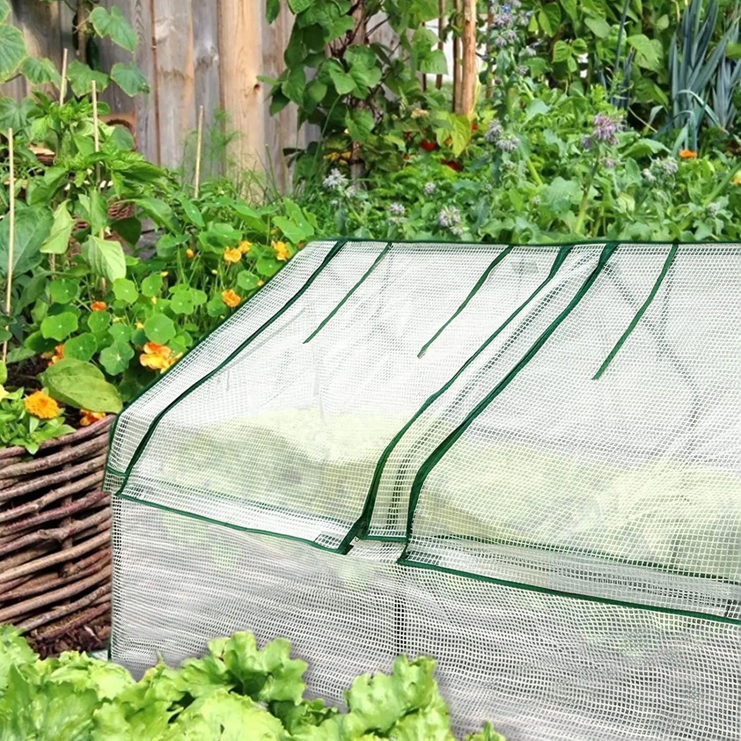 
greenhouse transparent outdoor yard rainproof shed moisture flowers and plants household botany 